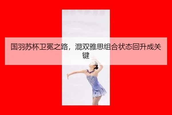 guo-yu-su-bei-wei-mian-zhi-lu-hun-shuang-ya-si-zu-he-zhuang-tai-hui-sheng-cheng-guan-jian-2-472.jpg