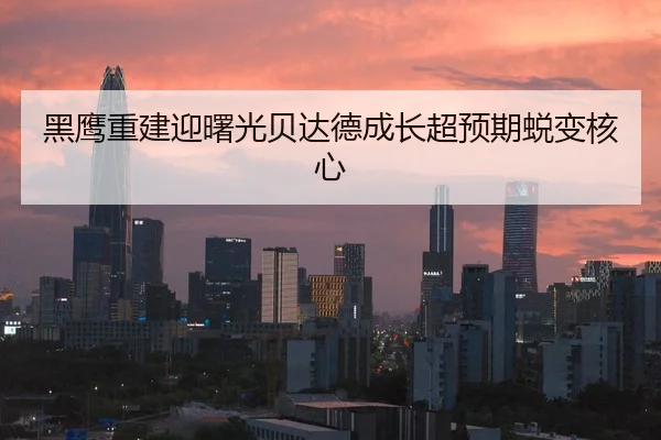黑鹰重建迎曙光贝达德成长超预期蜕变核心