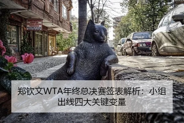 郑钦文WTA年终总决赛签表解析：小组出线四大关键变量