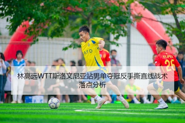 林高远WTT斯洛文尼亚站男单夺冠反手撕直线战术落点分析