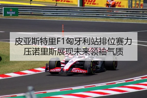 pi-ya-si-te-li-xiong-ya-li-zhan-pai-wei-sai-li-ya-nuo-li-si-zhan-xian-wei-lai-ling-xiu-qi-zhi-2-506.jpg